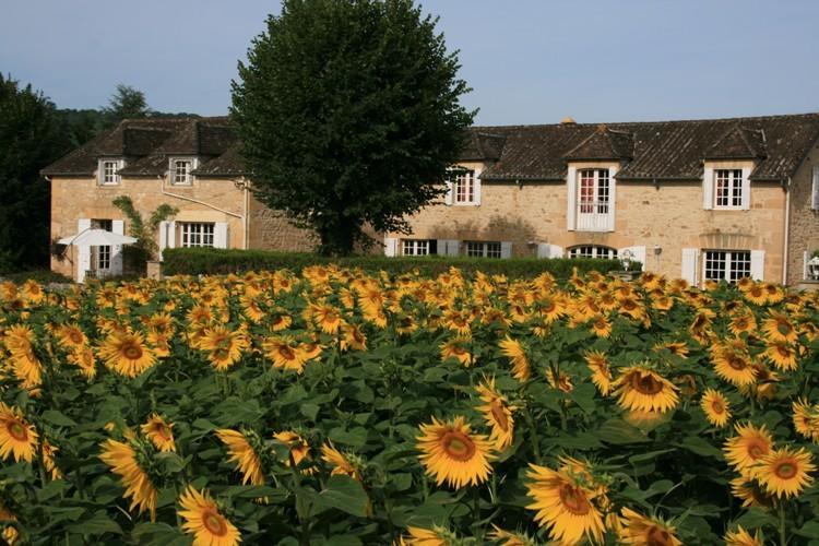 Domaine Des Hirondelles Villa Saint-Vincent-de-Cosse ห้อง รูปภาพ